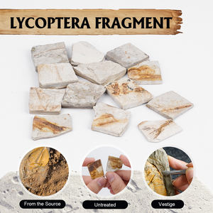 Lycoptera Fragment fossils | <span class=keywords><strong>ปลา</strong></span>ครีเทเชียสยังคง | เหมาะสำหรับการศึกษา Micro-paleontology - Product Image 2