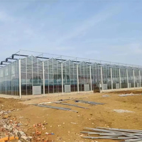Serre en verre commerciale intelligente pour l'agriculture avec système hydroponique pour les légumes, projet clé en main