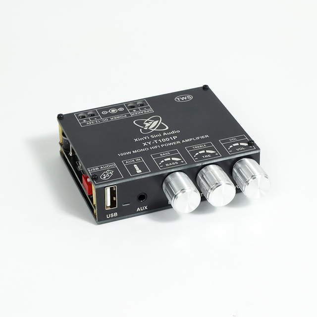 T1001P Mono 100W BT Audio Power Amplifier High Bass Adjustment TWS Box True Wireless TPA3116