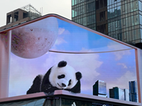 Panneau LED numérique P8 IP65 de nouvelle conception en gros pour la publicité extérieure dans les magasins de détail et les centres commerciaux