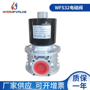 Vannes solénoïdes à gaz à connexion filetée WFSDN32DN40 fournies par le fabricant, normalement fermées, vannes de régulation pour gaz de charbon, gaz naturel - Product Image 5