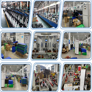 Bicicletta Elettrica a Lunga Autonomia Ideale per <span class=keywords><strong>Rider</strong></span> di Consegna Cibo e Pendolari a Lunga Distanza che Richiedono Affidabilità - Product Image 5