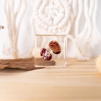 Groothandel Handgemaakte Harsen Handwerk Diy Vruchten Zaden Specimen Leermiddelen Kerstgeschenken Plant Hars Ambachten