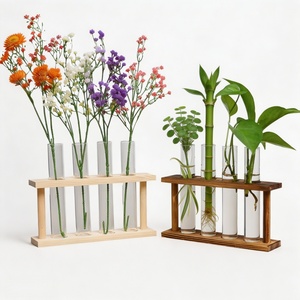 Support de table en bois massif pour tubes à essai, décoration de table, support pour plantes et fleurs avec tubes en verre transparent, pot hydroponique pour verdure et fleurs - Product Image 1