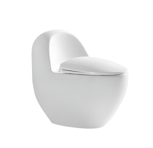 WC monobloc moderne en céramique avec chasse d'eau à double siphon, couleur blanc mat, design anti-regard, économie d'eau - Product Image 2