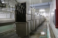 Équipement d'abattage au prix d'usine, machine automatique d'échaudage et d'épluchage des poulets