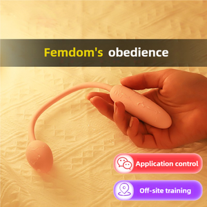 Vibratore Telecomandato Personalizzato per il Piacere Femminile, Massaggiatore Multivelocità con Doppia Vibrazione per Punto G - Product Image 4