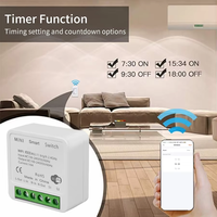 Interrupteur intelligent WiFi 16A DIY compatible avec l'application Tuya Smart Life, maison intelligente Alexa Yandex Alice, mini-interrupteur bidirectionnel à commande vocale