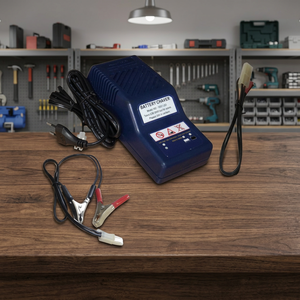 ACCUBAT Caricabatterie Completamente Automatico 12V per Batterie al Piombo-Acido e al Litio per Moto/Scooter 24V 5A Elettrico con Presa AU/EU - Product Image 2