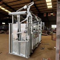 Cage de manipulation pour bétail avec porte frontale et portes latérales pour le traitement médical des animaux