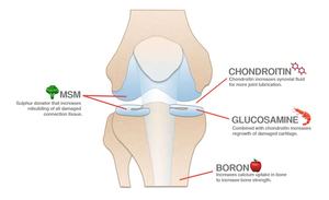 טוהר גבוה גלוקוזאמין chondroitin sm יצרן אבקת-שירות מיזוג מותאם אישית על פי הלקוח | gmp מוסמך - Product Image 4