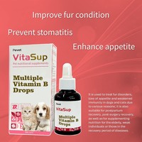 Complément nutritionnel pour animaux de compagnie, gouttes liquides de vitamines du complexe B pour chiens et chats, soins de santé quotidiens avec absorption rapide