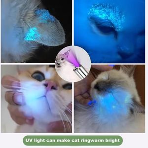 Jouet pour chat 7 en 1, lampe torche multifonction, lumière UV, motifs rouges, pointeur rechargeable à main pour chaton - Product Image 6