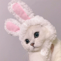 Costume de chat en gros avec chapeau, vêtements pour animaux de compagnie en coton et fausse fourrure, pull avec chapeau pour chat