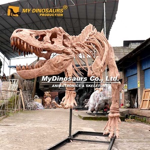 MY DINO Mini <span class=keywords><strong>Golf</strong></span> Modè<span class=keywords><strong>le</strong></span> de squelette de dinosaure T-rex grandeur nature - Product Image 6