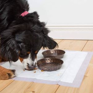 Échantillon gratuit de tapis d'entraînement pour chiens et chiots en pulpe moelleuse écologique fabriqués aux États-Unis - Product Image 6