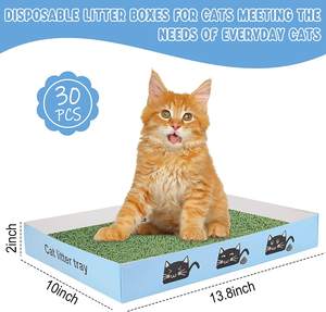 Bac à litière jetable pour chat Super léger étanche pour voyage et utilisation en intérieur Caja de <span class=keywords><strong>arena</strong></span> para gatos - Product Image 5