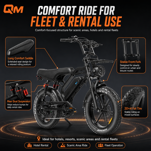 QMWHEEL V20 Limited 48V Bicicleta Eléctrica Urbana con Neumáticos Anchos para Exteriores, Batería de Litio, Bicicleta Eléctrica Todoterreno para Alquiler en Resorts B2 - Product Image 1