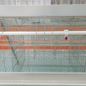 Vendita calda di strato di pollo gabbia per strati di pollame allevamento di un tipo 4 livelli 4 porte gabbie di batteria galline ovaiole vendono in Bangladesh - Product Image 5