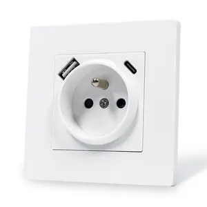 EU Type Electric USB Outlet PC Panel Wall Mounted Single French Socket With Type A+C USB Ports 2100mA