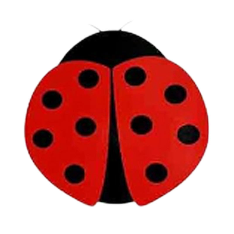 Style coccinelle