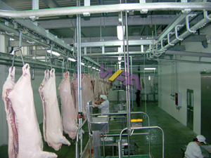 Hoàn Thành 50-100 lợn giết mổ tự động Máy thịt lợn Lò mổ dòng thiết bị giết mổ lợn Lò mổ - Product Image 4