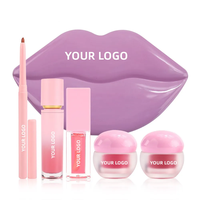 Kit de rouge à lèvres végétalien 5-en-1 marque privée à base de plantes imperméable à l'eau mat crayon à lèvres combinaison brillant à lèvres effet hydratant
