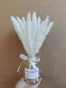 Parterre de fleurs séchées, arrangement de fleurs de décoration intérieure, bouquet de pompons secs, boîte à cadeau, bouquet d'herbes, avec des marais blanches en <span class=keywords><strong>vase</strong></span> en <span class=keywords><strong>verre</strong></span>, vente en gros, S02371 - Product Image 2