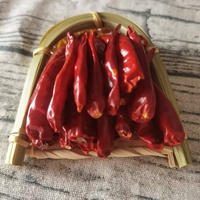 Piment rouge entier naturel séché du Sichuan, Chine, 25 kg, épice de qualité alimentaire pour l'exportation
