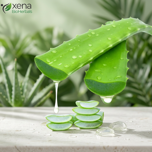 Gel de Aloe Vera para la Cara, Gel de Aloe Vera Puro, Gel de Aloe Vera Orgánico, Venta al por Mayor, Fabricante de Marca Privada - Product Image 1