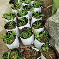 Fabriek produceert op maat gemaakte gekleurde landbouwafvalzakken van PE, dubbelzijdig waterdicht, voor gebruik in tuin en kwekerij.