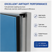 Porte de purification moderne en acier standard pour hôpital, adaptée aux laboratoires hospitaliers, porte de salle blanche insonorisée