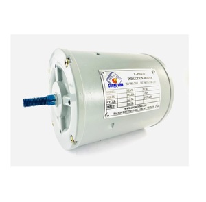 Fréquence 50Hz Vietnam Moteur d'alimentation de crevettes industrielles 220V AC Monophasé 12 mois de garantie Transmission de puissance - Product Image 6