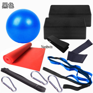 Ensemble de yoga Wang Jiahua 11 pièces violet : ballon d'exercice, blocs, tapis, sangle, bande de résistance, crochets pour le yoga et l'entraînement physique - Product Image 5