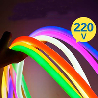 Ruban LED en silicone flexible, éclairage décoratif, étanche IP65, bande LED SMD 2835, néon LED flexible personnalisé, enseignes lumineuses néon LED