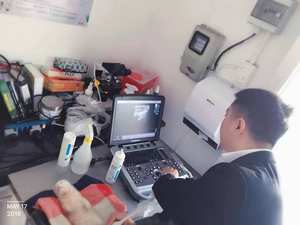 EURVET Appareil d'échographie couleur Doppler 3D/4D Chison, échographe <span class=keywords><strong>portable</strong></span> - Product Image 6