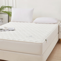 Housse de matelas imperméable en TPU 360 °   Housse de protection intégrale pour lit, douce pour la peau, idéale pour dormir nu
