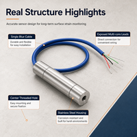 Medidor de Tensión de Superficie con Cable Vibratorio de 100 mm para Monitoreo de Estructuras de Hormigón