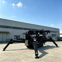 Guindaste Mini Hidráulico Elétrico e a Diesel RST L-606, Guindaste Aranha para Espaços Estreitos