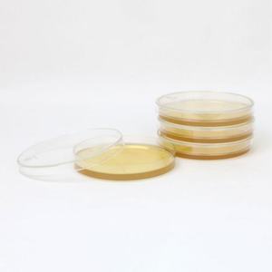 Laboratoire Plastique Jetable Stérile 90x15mm Agar Plates 9cm Boîte de Petri - Product Image 1