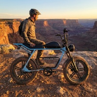 Vélo électrique tout-terrain robuste avec pneus larges, alternative au quad électrique, avec batterie 48V, Scrambler Ebike pour terrains accidentés en extérieur