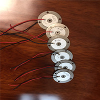 Kualitas Tinggi PZT Piezoelectric Ceramic Disc 17.5Mm 125KHZ Ultrasonik Sensor