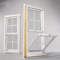 Diseño libre Prueba de sonido Energía efectiva Todos los colores Perfiles de aluminio Ventanas Vidrio Doble colgado Ventana de aluminio negro
