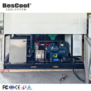 Tùy Chỉnh 20 Chân Tủ Đông Container Bắc Cực Tôm Ngọt Ngào Lạnh Lưu Trữ Phòng Blast Đóng Băng Cho Bán - Product Image 5