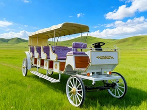 Chariot électrique personnalisé pour visites touristiques, type calèche, avec auvent pour parcs et attractions, nouveau style, sièges violets - Product Image 4