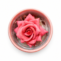 Poudre compacte illuminatrice et blush OEM en forme de rose, lisse, à base de mica, maquillage lumineux, logo personnalisé, cadeaux et vente au détail de produits de beauté