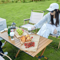 Chaise de camping pliante moderne en acier inoxydable et aluminium, mobilier d'extérieur portable pour le camping en voiture et les pique-niques