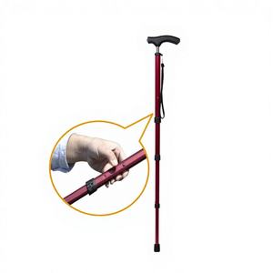 Los Bastones de Senderismo de Aluminio de 5 Secciones Más Vendidos con Punta de Goma y Mango en T, Capacidad de 250 LBS, Plegado en un Segundo - Product Image 1