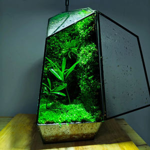 EG-V036 préservé <span class=keywords><strong>mousse</strong></span> Eco naturel vert mur Art peinture cadre plantes vivantes <span class=keywords><strong>mousse</strong></span> décoration de Table Terrarium plantes et <span class=keywords><strong>mousse</strong></span> - Product Image 1