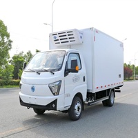 Feidi Ditu EF3 Elektrikli Soğutuculu Kamyon 63.75kWh Batarya 200km Menzil Son Mil Soğuk Zincir Teslimatı için